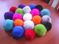 /album/fotogalerie-uvodni-stranka/bobble-rabbit-jpg/